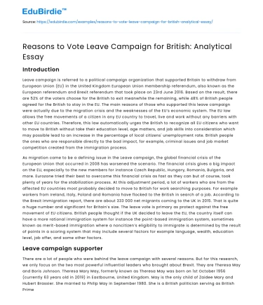 Analyzing the Rationale Behind the Vote Leave Campaign