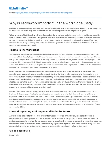 Why is Teamwork Important in the Workplace Essay