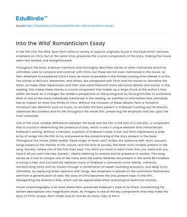 Into the Wild’ Romanticism Essay