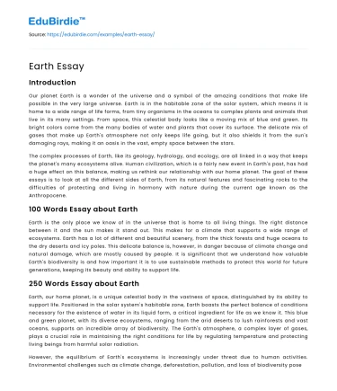 Earth Essay