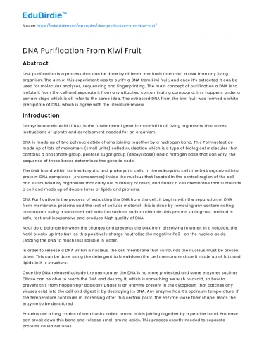 DNA Purification From Kiwi Fruit