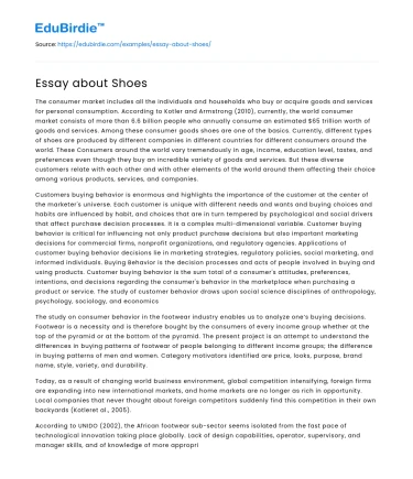 Essay about Shoes