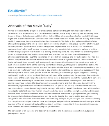 Analysis of the Movie ‘Sully’