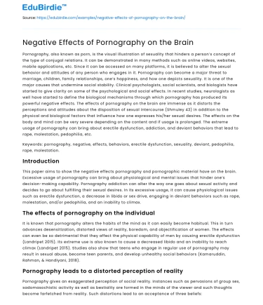 Negative Effects of Pornography on the Brain