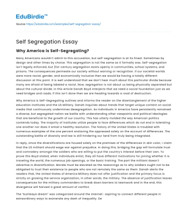 Self Segregation Essay