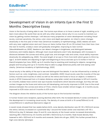 Vision Development in Infants’ First 12 Months