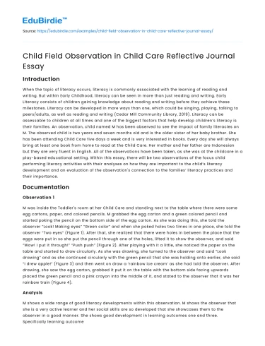 Child Field Observation in Child Care Reflective Journal Essay