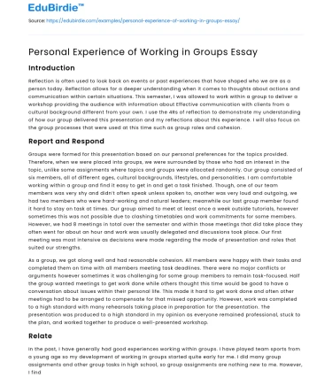 Personal Experience of Working in Groups Essay