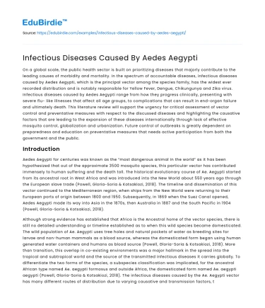 Infectious Diseases Caused By Aedes Aegypti