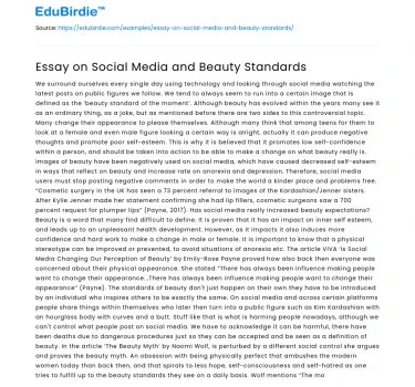Essay on Social Media and Beauty Standards