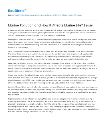 Marine Pollution and How it Affects Marine Life? Essay