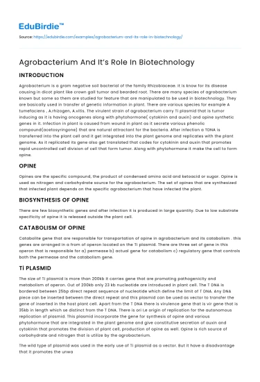 Agrobacterium: A Cornerstone in Biotechnological Innovation