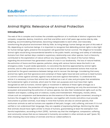 Animal Rights: Relevance of Animal Protection