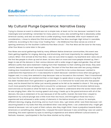 My Cultural Plunge Experience: Narrative Essay