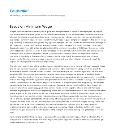 Essay on Minimum Wage