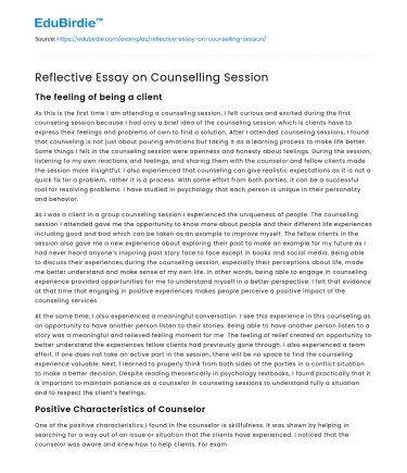 Reflective Essay on Counselling Session