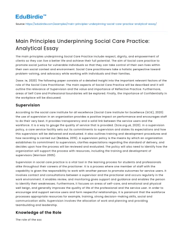 Main Principles Underpinning Social Care Practice: Analytical Essay
