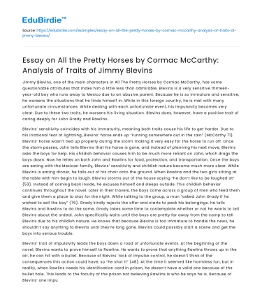 Analysis of Jimmy Blevins in All the Pretty Horses
