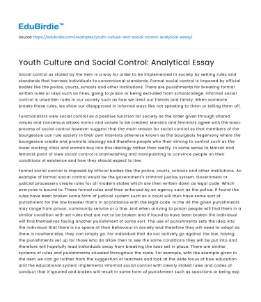 Youth Culture and Social Control: Analytical Essay