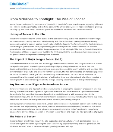 From Sidelines to Spotlight: The Rise of Soccer