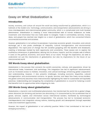 Essay on What Globalization Is