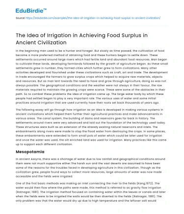 The Idea of Irrigation in Achieving Food Surplus in Ancient Civilization