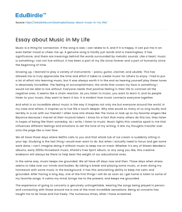 Essay about Music in My Life