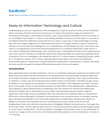 Essay on Information Technology and Culture