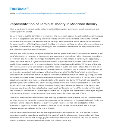 Feminist Perspectives in Gustave Flaubert’s Madame Bovary