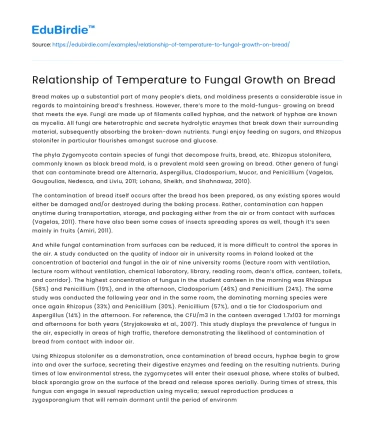 Relationship of Temperature to Fungal Growth on Bread