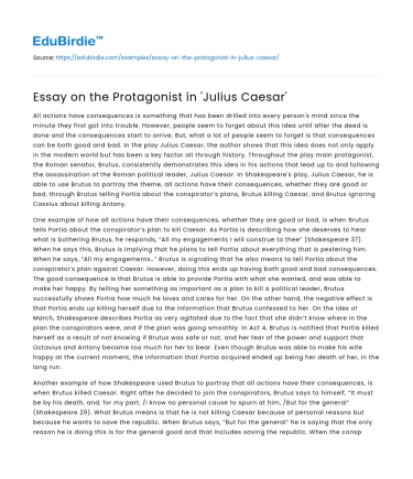 Essay on the Protagonist in ‘Julius Caesar’