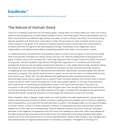 The Nature of Human Good