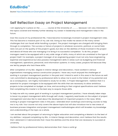 Self Reflection Essay on Project Management