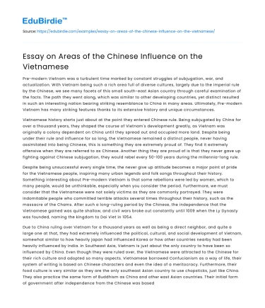 Essay on Areas of the Chinese Influence on the Vietnamese
