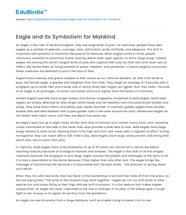 Eagle and Its Symbolism for Mankind
