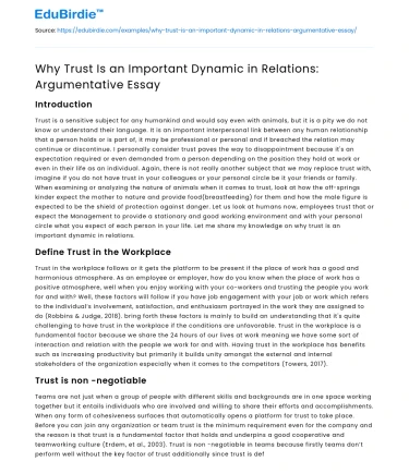 Why Trust Is an Important Dynamic in Relations: Argumentative Essay