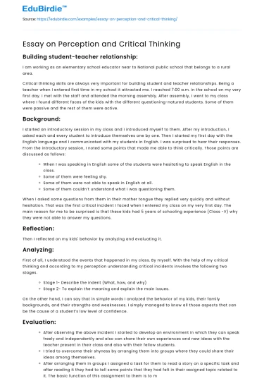 Essay on Perception and Critical Thinking