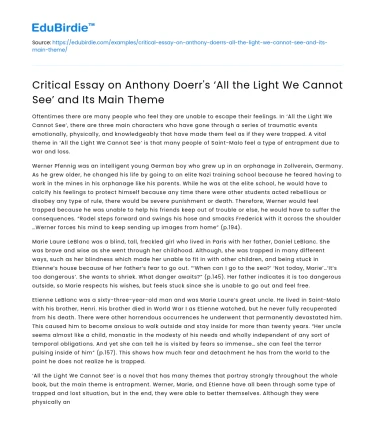 Analysis of Anthony Doerr’s ‘All the Light We Cannot See’ Main Theme