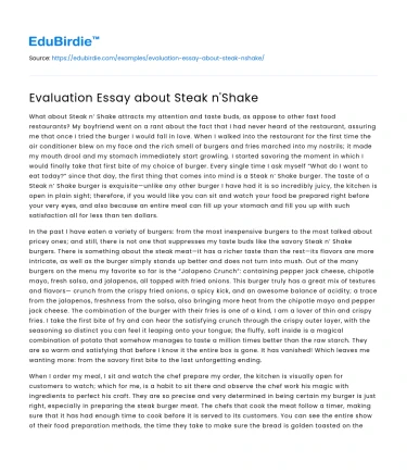 Evaluation Essay about Steak n’Shake