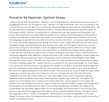 Proud to Be Mexican: Opinion Essay