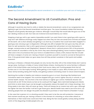 The Second Amendment to US Constitution: Pros and Cons of Having Guns