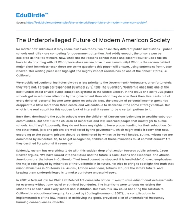 The Underprivileged Future of Modern American Society