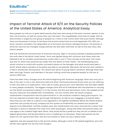 9/11 Terrorist Attack Impact on US Security Policies: Analysis