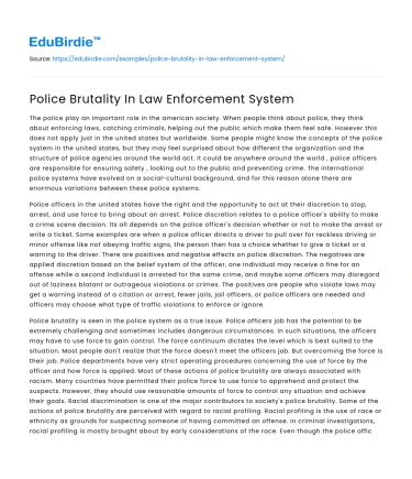 Police Accountability in Modern Law Enforcement
