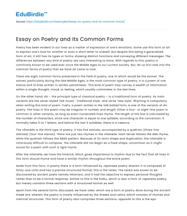Essay on Poetry and Its Common Forms