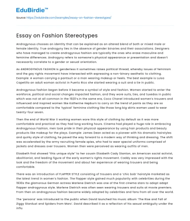 Essay on Fashion Stereotypes