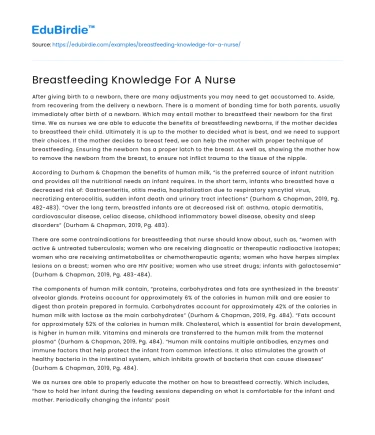 Breastfeeding Knowledge For A Nurse