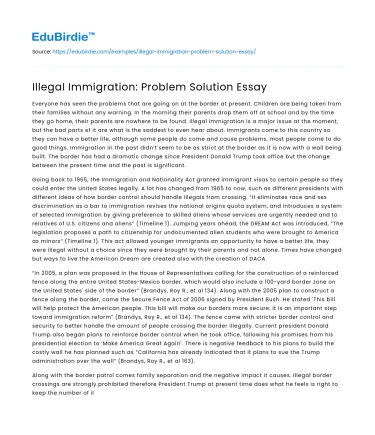 Illegal Immigration: Problem Solution Essay