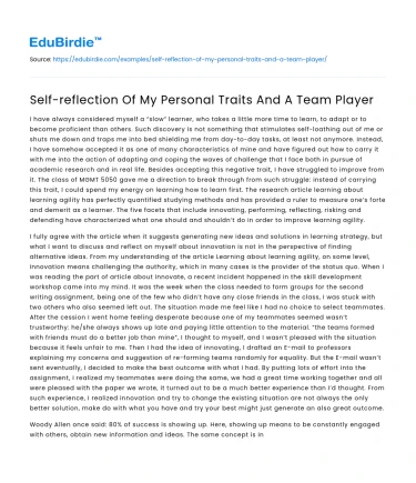 Self-reflection Of My Personal Traits And A Team Player