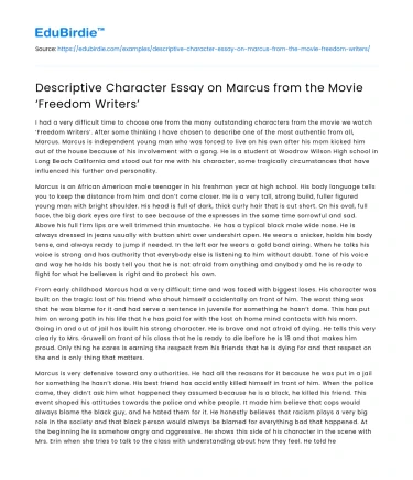 Descriptive Character Essay on Marcus from the Movie ‘Freedom Writers’